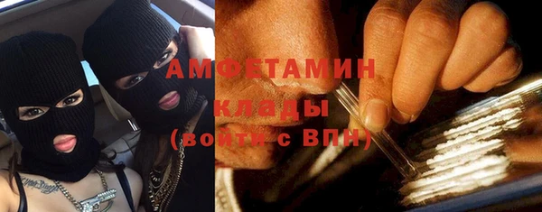 прущие грибы Баксан