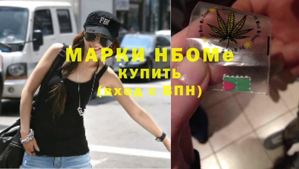 прущие грибы Баксан