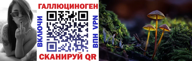 Псилоцибиновые грибы Cubensis Билибино